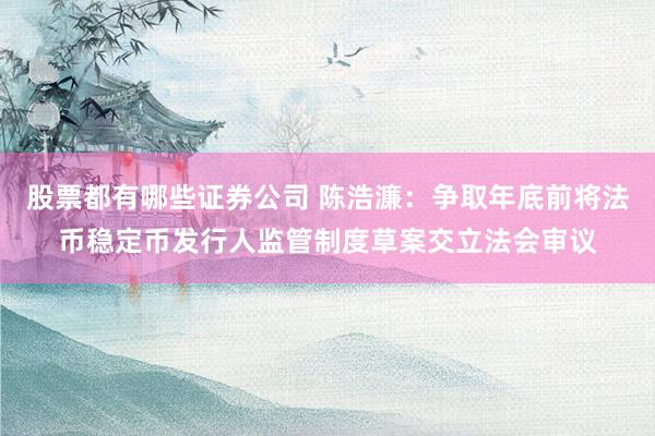 股票都有哪些证券公司 陈浩濂：争取年底前将法币稳定币发行人监管制度草案交立法会审议