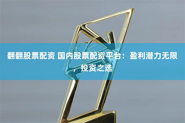 翻翻股票配资 国内股票配资平台：盈利潜力无限，投资之选